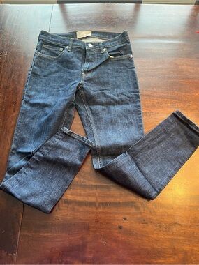 Everlane Indigo Skinny Jeans